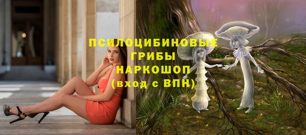 сатива Верхний Тагил